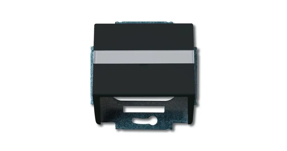 ABB 1724-0-4253 Future® linear, Solo®, Solo® carat Kryt zásuvky komunikační s popisovým polem, antracitová Cenově Výhodný