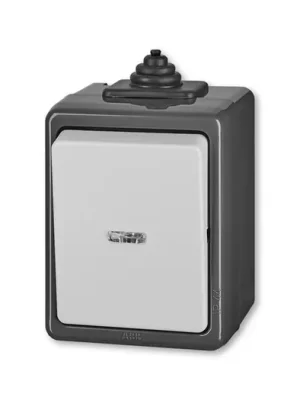 ABB Praktik 3553-25922 S Přepínač střídavý IP 44, s čirým průzorem, šedá vhodné na dřevo bez podložky Akce