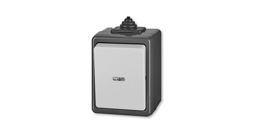 ABB Praktik 3553-91922 S Ovládač zapínací IP 44 s čirým průzorem, šedá vhodné na dřevo bez podložky Akční Nabídka