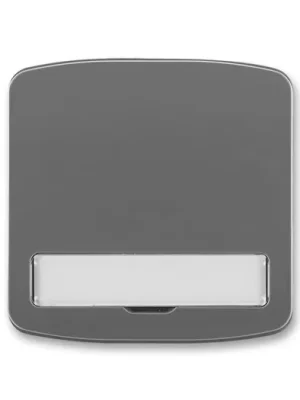ABB 3558A-A00620 S2 Tango® Kryt spínače kolébkového s popisovým polem, kouřová šedá Top Prodej