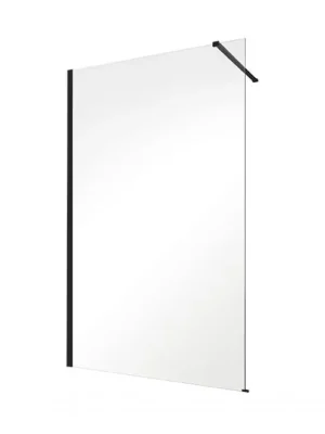 Akce ECO-N BLACK,110 × 195 cm, černá barva, čiré sklo