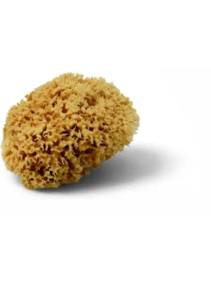 Přírodní houba Magic Expresní Doručení