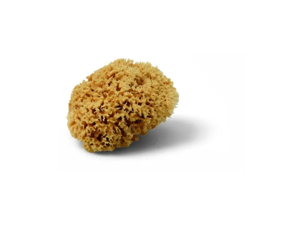 Přírodní houba Magic Expresní Doručení