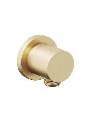 Akce 701.60GLB Podomítkový vývod, zlato kartáčované