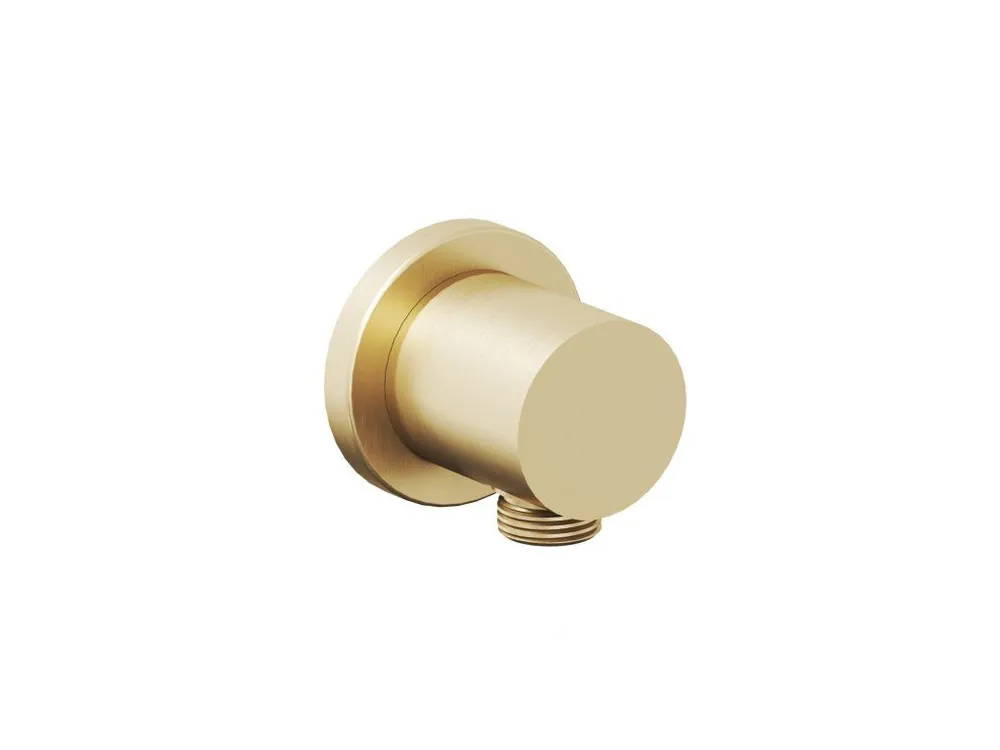 Akce 701.60GLB Podomítkový vývod, zlato kartáčované