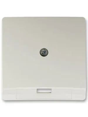 ABB 5013G-A00213 S1 Swing®, Swing®L Kryt zásuvky telefonní jednonásobné, světle šedá Tovární Cena